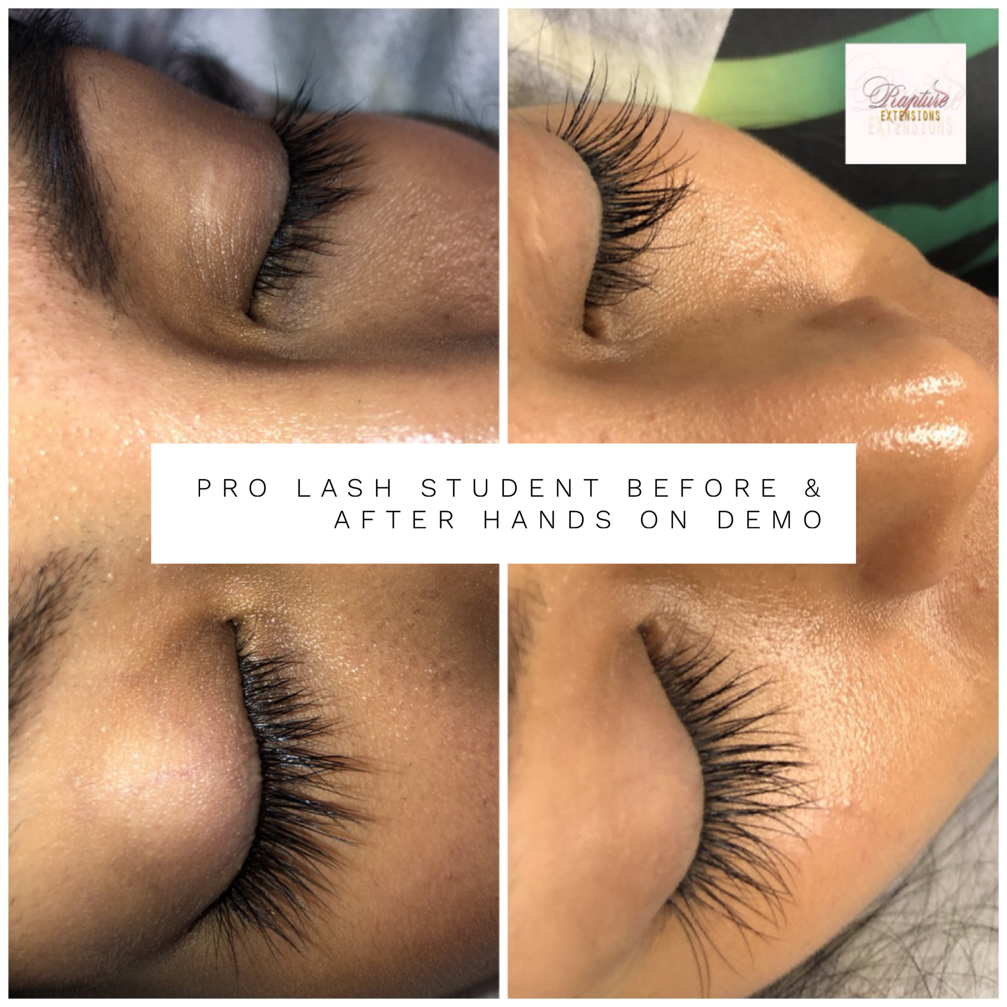Lash Training Bundles
